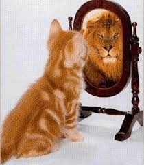 confidence lion
